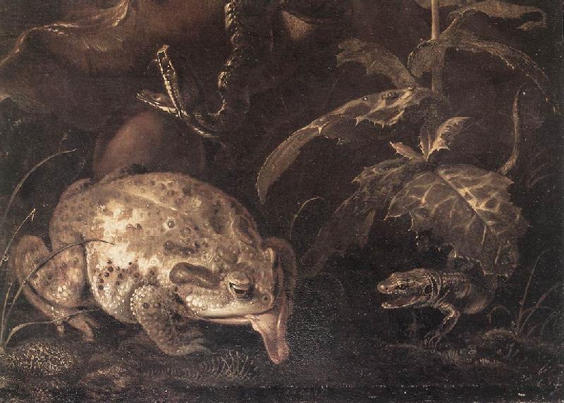 SCHRIECK, Otto Marseus van Still-Life with Insects and Amphibians (detail) qr
